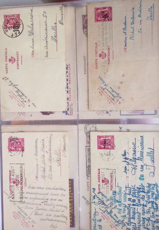 1849-2014 Attractive and extensive collection of Belgium