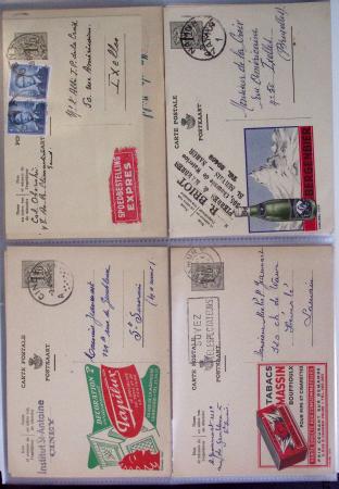 1849-2014 Attractive and extensive collection of Belgium