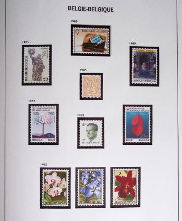 1849-2014 Attractive and extensive collection of Belgium