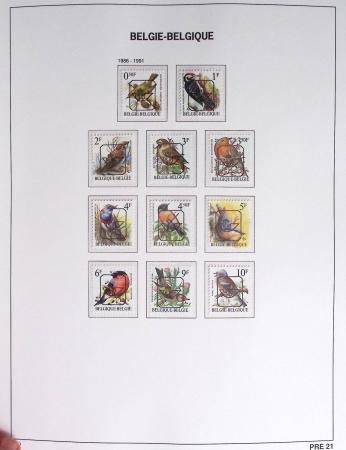 1849-2014 Attractive and extensive collection of Belgium