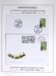 1849-1990 Lot principalement constitué de pages d'exposition