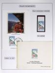 1849-1990 Lot principalement constitué de pages d'exposition