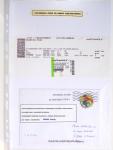 1849-1990 Lot principalement constitué de pages d'exposition
