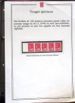 1974-1977, Solide ensemble sur la MARIANNE DE BEQUET