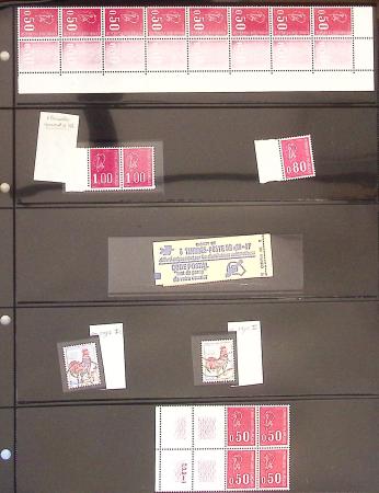 1974-1977, Solide ensemble sur la MARIANNE DE BEQUET