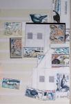 1920-95 POLAR Thematic collection mounted on 100s of