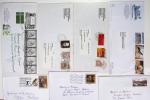 1516-1980 Fascinating postal history lot in stockbooks