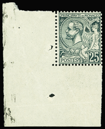 N°16 variété tâche derrière la tête, coin de feuille,