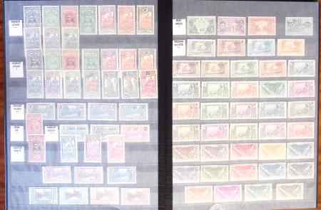 1885-2021, Plusieurs collections des TOM en neuf, dont