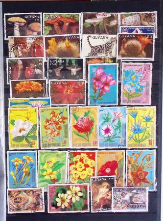1960-2010, Collection de France pour la faciale, avec