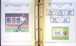 Exceptionnelle collection sur le thème du foot en 30