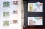 Exceptionnelle collection sur le thème du foot en 30