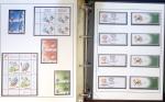 Exceptionnelle collection sur le thème du foot en 30