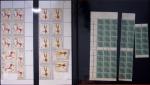 THEMATIQUE Collection en 5 volumes sur le thème de