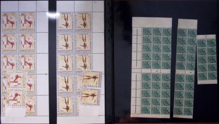 THEMATIQUE Collection en 5 volumes sur le thème de