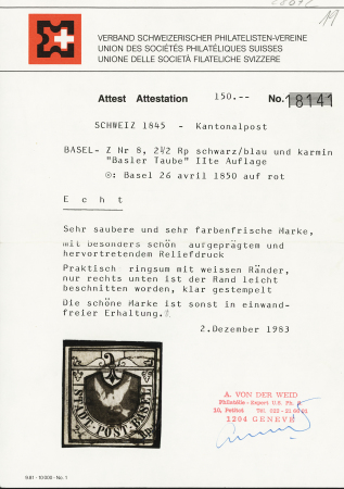 Basler Taube, sehr farbenfrisch und meistens mit grossen