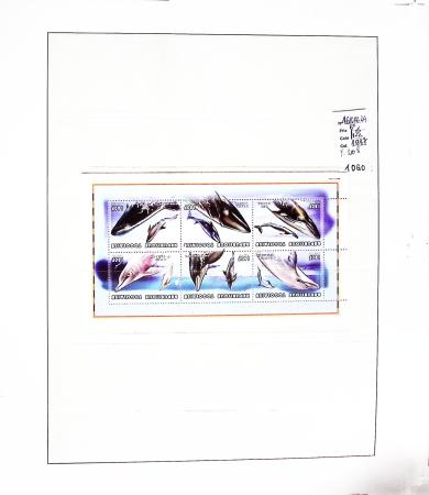 VIE MARINE, Collection très volumineuse en 38 albums