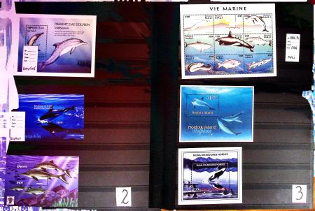VIE MARINE, Collection très volumineuse en 38 albums