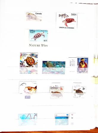 VIE MARINE, Collection très volumineuse en 38 albums