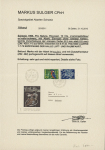 1966 Eisvogel mit Abart "ohne weisse Kehle" zusammen