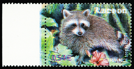 N°4034 splendide décalage de couleur donnant une double