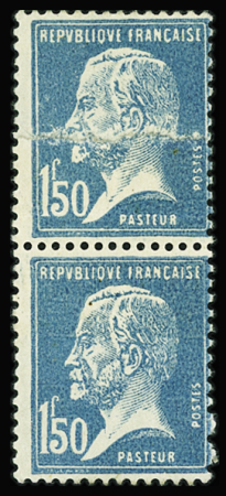 N°181 type Pasteur variété raccord spectaculaire, neuf