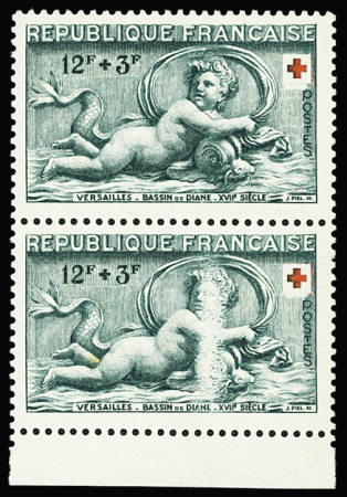 N°937 variété impression dégradée au milieu de la sculpture,