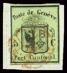 Kleiner Adler, farbfrisch und sehr gut gerandet für