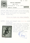 Type 8 B/RO in der bräunlichgelben Nuance, breitrandig