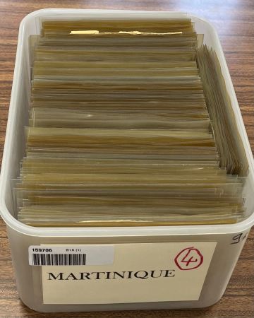 Martinique : Ensemble de 400 lettres variées (1880 - 1950). Lot