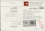 Type 6 zusammen mit Rayon II Type 28 D/LO