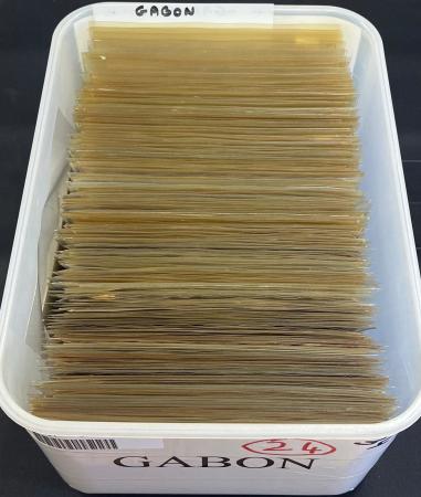 Gabon. 380 lettres avant l'indépendance 1920-1960,