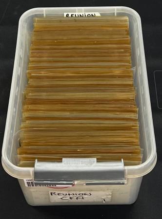 Réunion. Fort lot de 450 lettres affranchies avec timbres