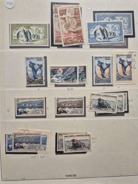 1948-2022, Collection des TAAF en 5 albums, neuf, dont