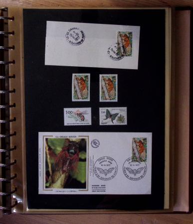 1973-1977, Collection montée en 5 classeurs du Musée