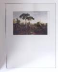 1912-91 Collection de cartes en six classeurs comprenant