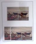 1912-91 Collection de cartes en six classeurs comprenant