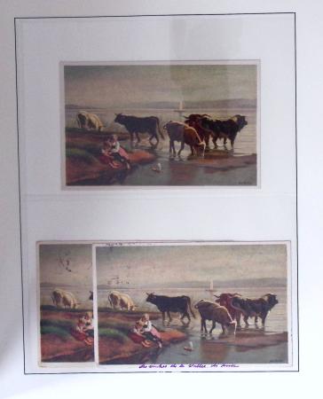 1912-91 Collection de cartes en six classeurs comprenant