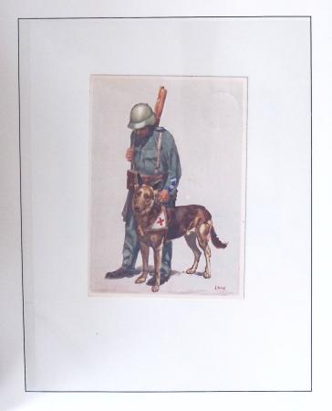 1912-91 Collection de cartes en six classeurs comprenant