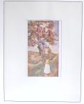 1912-91 Collection de cartes en six classeurs comprenant