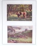 1912-91 Collection de cartes en six classeurs comprenant