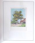 1912-91 Collection de cartes en six classeurs comprenant