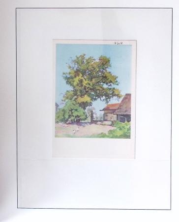 1912-91 Collection de cartes en six classeurs comprenant