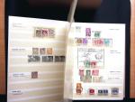 1880-1930 Spezialsammlung ZOLLSTEMPELN in zwei Steckbüchern