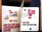 1880-1930 Spezialsammlung ZOLLSTEMPELN in zwei Steckbüchern