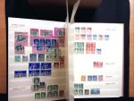 1880-1930 Spezialsammlung ZOLLSTEMPELN in zwei Steckbüchern