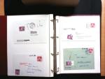 1878-1970 Sammlung NACHPORTOMARKEN in zwei Steckbüchern,