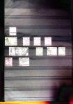 1841-1960 GB & Empire collection in eight stockbooks