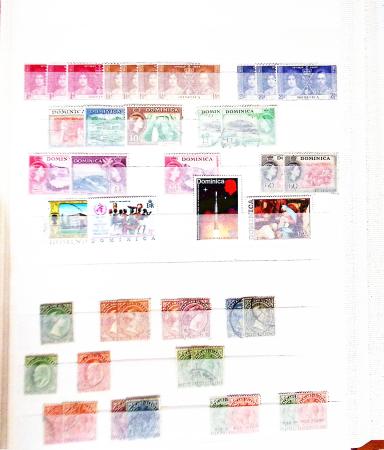 1841-1960 GB & Empire collection in eight stockbooks