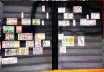 1841-1960 GB & Empire collection in eight stockbooks